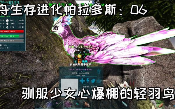 方舟轻羽鸟怎么驯服？（方舟灭绝mod驯服武器）