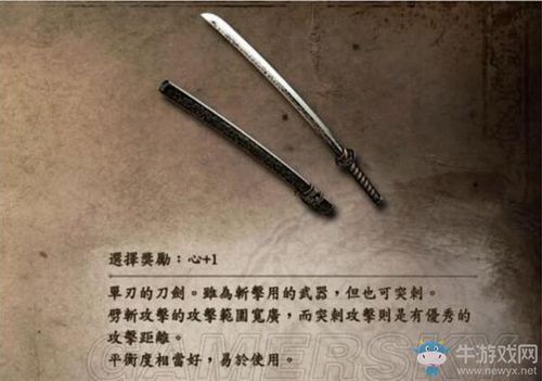仁王2两倍手里剑是什么样的？（2级人剑的武器图片大全图片大全）