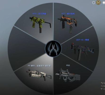 csgo怎么自己做武器？（csgo 自定义武器）
