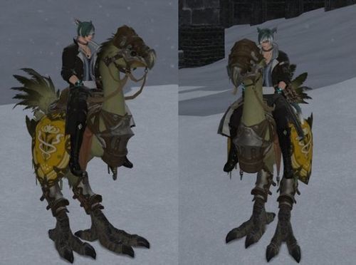 ff14没有房子怎么给陆行鸟染色？（ff144.0侍武器外观）