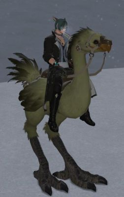 最终幻想FF14陆行鸟怎么获得？（ff14侍的武器外观）