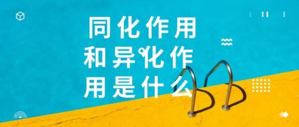 同化是什么意思?异化呢？（异化怎么交换武器）