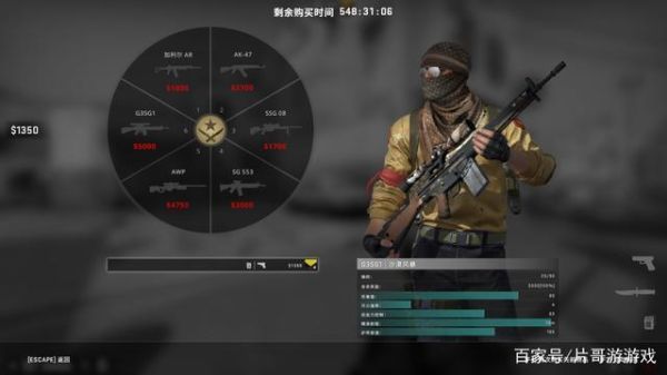 csgo所有武器绰号？（好听的英文武器名字大全集）