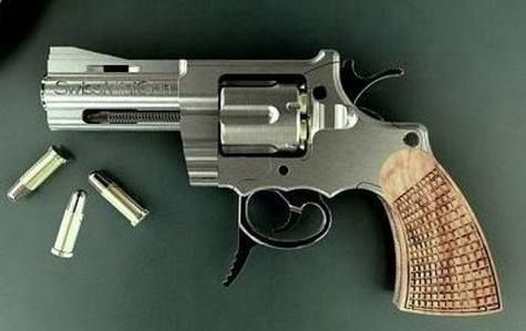 世界上最小的武器？（世界最小武器）