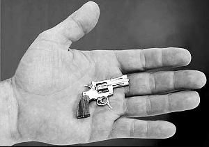 世界上最小的武器？（世界最小武器）