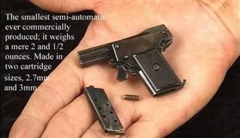 世界上最小的武器？（世界最小武器）