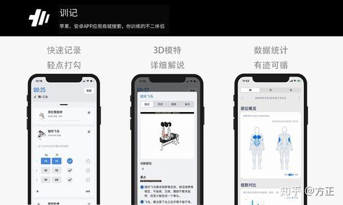 candito6周计划训练表怎么做？（双手武器训练师代码）