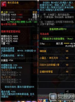 DNF武极带什么武器好啊？（武极能用什么武器）