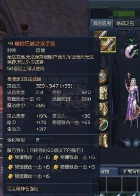 永恒之塔守护星要带什么装备？（永恒之塔守护武器）