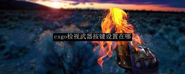 csgo怎么检视枪？（csgo检视武器提示）