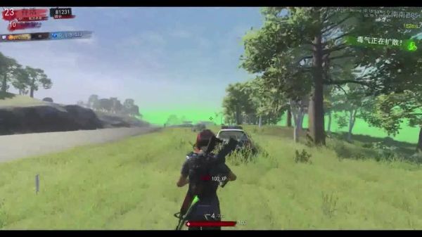 stm是啥游戏？（h1z1武器平台怎么做）