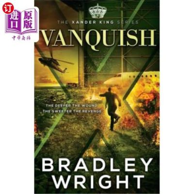 vs衣服标志是什么品牌？（vanquish 征服 武器）
