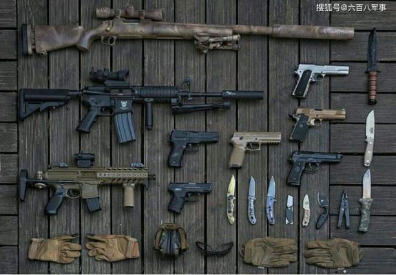 武器庇佑有什么用？（困境求生武器大全）