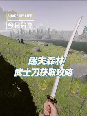 森林1武器有哪些？（森林里的武器）