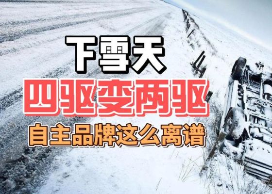 下雪天开四驱还是两驱？（什么武器打大雪主快）
