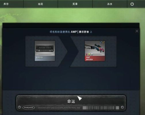 csgo如何给武器改成中文？（csgo武器改名禁用中文）