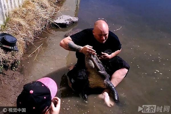 任何动物伤人人类有权击毙吗？（不用武器杀死5个野生）