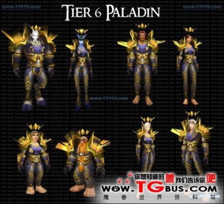 WOW圣骑士怎么能用单手斧？（惩戒骑幻化武器）