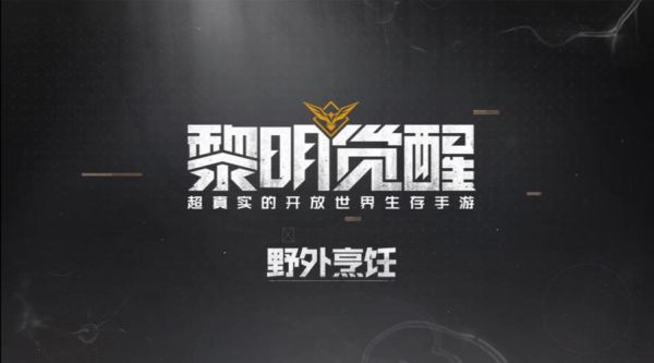 黎明觉醒特战职业任务怎么完成？（特战英雄武器等级最高几级）