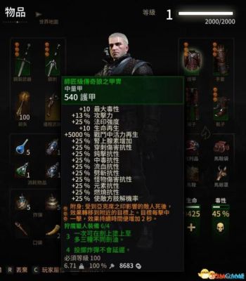 巫师3套装怎么升成师匠级？（巫师3怎么打造匠师级武器）