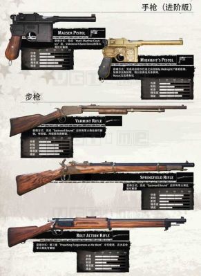 荒野大镖客2武器类型？（荒野大镖客武器大全）