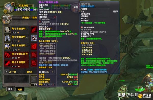 tbc圣骑士选沙塔斯哪个阵营？（沙塔斯城 战士武器）