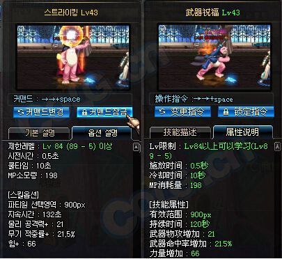女圣骑士时装上衣加什么技能？（神思者武器祝福不能用）
