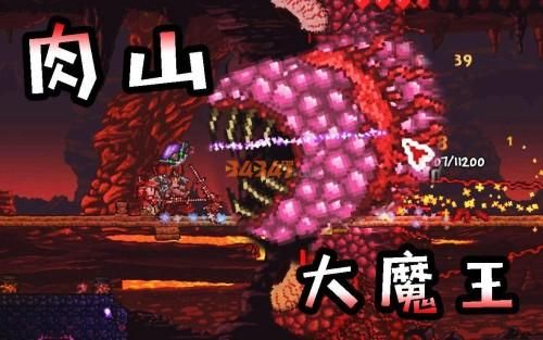 泰拉瑞亚肉山掉什么？（泰拉瑞亚垃圾武器肉山视频）