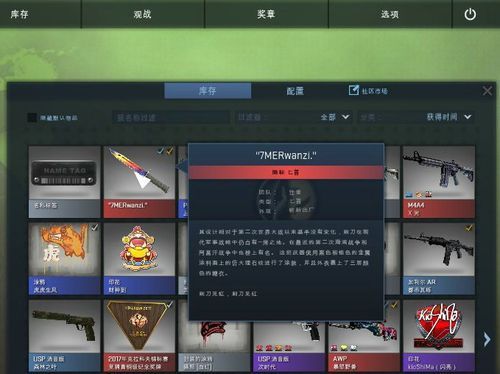 csgo借皮肤怎么借？（csgo借用武器）