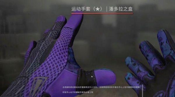 最近想在csgo买个新手套，下了个破解版看看，但是电脑里有正版，会冲突被VAC吗？（csgo全武器破解版）