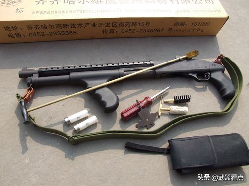 弹药最好拿什么武器？（弹药带啥武器）