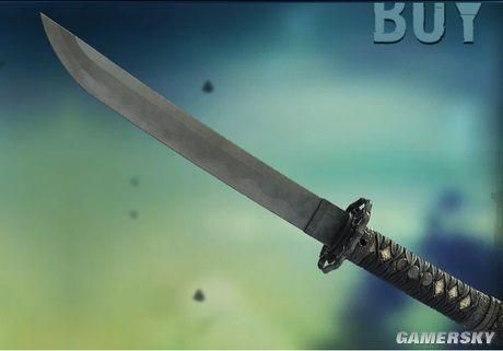 极地战嚎6最强武器？（弹药终极武器）