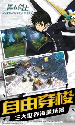 psp刀剑神域无限时刻桐人的专属黑衣剑士装备怎么弄？（刀剑神域怎样装备武器）