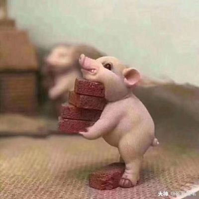 谁来告诉我，男格斗哪个职业适合搬砖？（厄运9狂战搬砖武器）