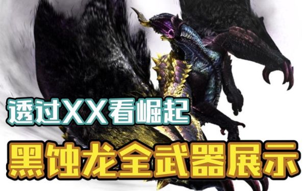 怪物猎人xx最强套？（怪物猎人xx武器新手推荐）