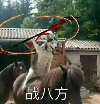 我的剑三天策号27级，已经学了战八方很久了，但骑上马后，技能栏全部空了战八方根本不能用，是什么原因？（剑三天策什么武器好看）