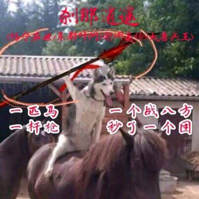 我的剑三天策号27级，已经学了战八方很久了，但骑上马后，技能栏全部空了战八方根本不能用，是什么原因？（剑三天策什么武器好看）