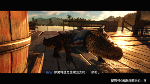 哥!孤岛惊魂2怎么解锁武器，我做到了SVD20钻石的。接下来要去哪？（孤岛惊魂2拥有各种武器）