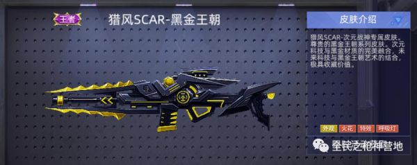 全民枪神边境王者武器讲解？（怪物猎人边境武器大全）