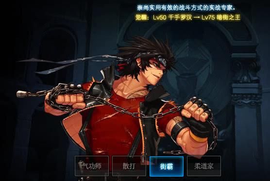 男格斗什么职业刷图强悍，都用什么类型的武器。穿什么甲？（街霸刷图带什么武器好）