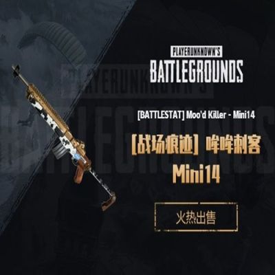 pubg哪个成长型武器最好？（绝地武器mini）