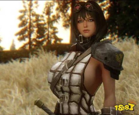 老滚5的爱之实验室MOD怎么用？（老滚5双手武器mod下载）