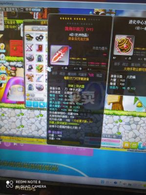 冒险岛标飞终极装备是什么？（冒险岛2不灭武器外观）
