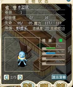 魔力宝贝怀旧法师适合带什么宠？（魔力宝贝咒术需不需要武器）