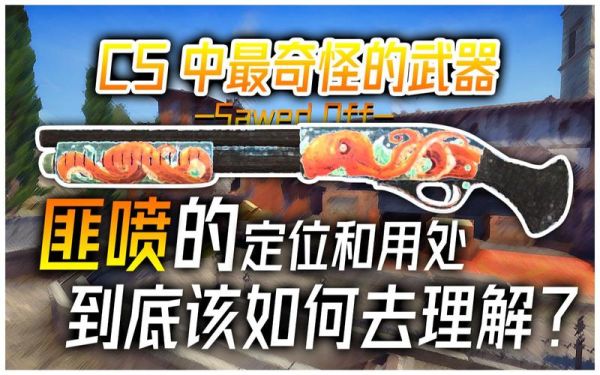 cs匪喷怎么玩？（喷子9带什么武器）