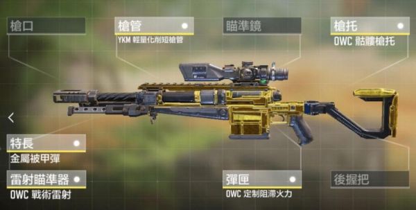 新赛季使命t0武器有哪些？（使命召唤平民武器选择）