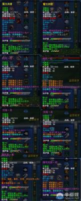 天下3，荒火武器，天殇皆斩，怎么得到的?或者说怎么打到，买到什么都行，告诉我怎么来的？（天下手游门派武器）