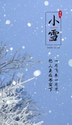 写一首小雪寒梅的诗句？（天香主武器念奴娇）