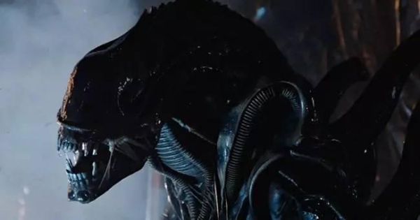 《星河舰队》上面的虫子和《异形》上面的异形谁能赢？（星河舰队中的武器装备）