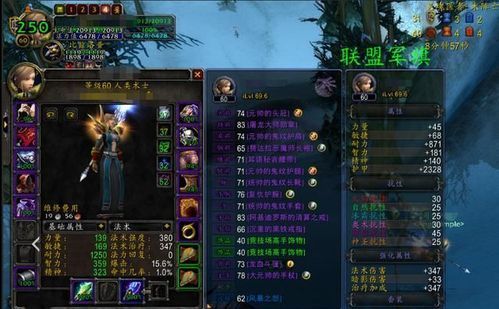 wlk痛苦术士团本前配装？（痛苦术士带什么武器）